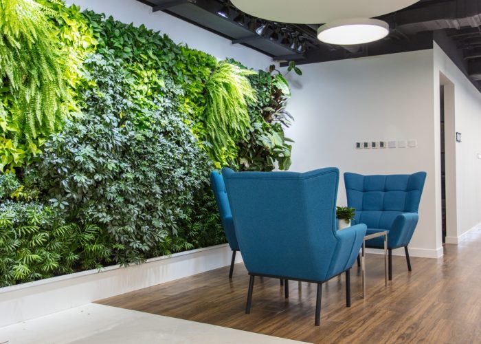 Front desk seating area in modern office with comfortable sofa and green plants
