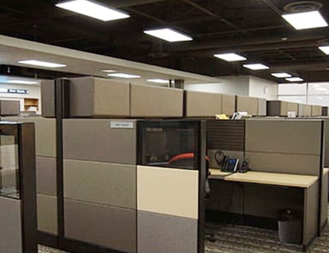 WDI projects Our works NFP