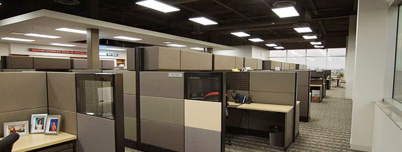 WDI projects Our works NFP