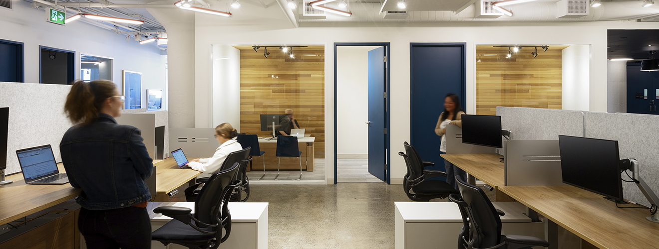 WDI_projects_Our_works_brightworks